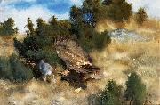 bruno liljefors orn jagande hare oil painting artist
